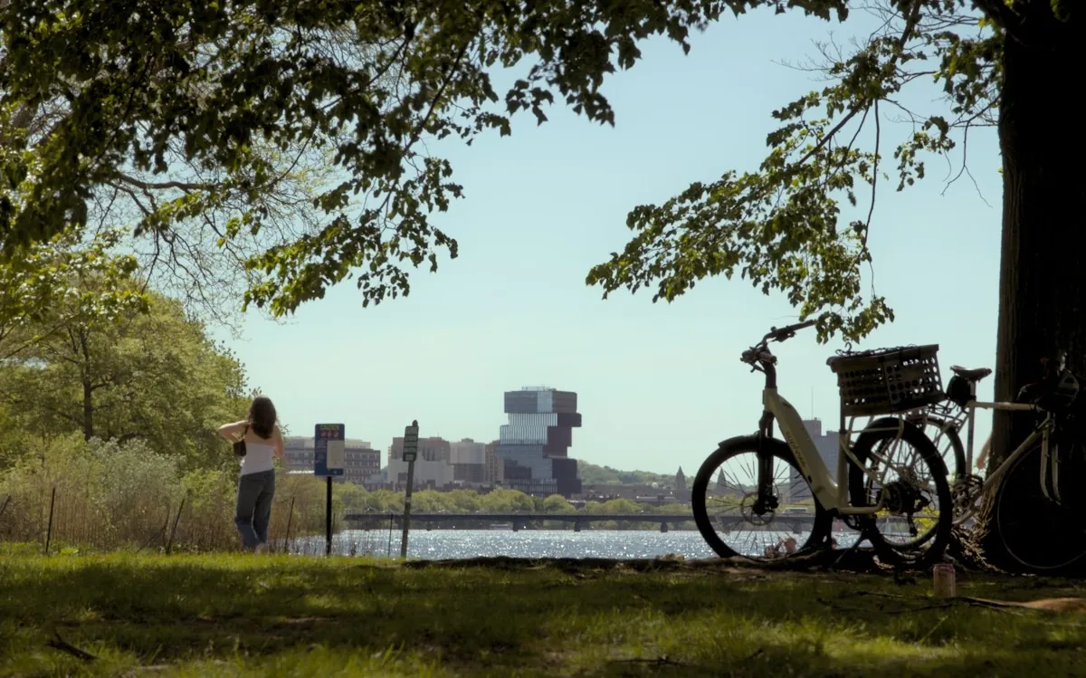 Ein Fahrrad steht unter einem Baum am Ufer, dahinter glitzert das Wasser