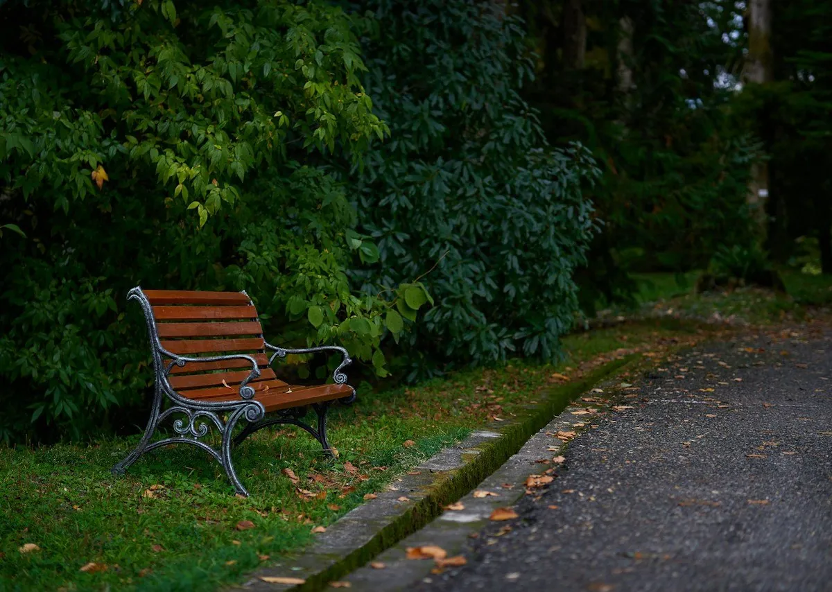 Eine Parkbank an einem Weg zwischen Bäumen und Wiese