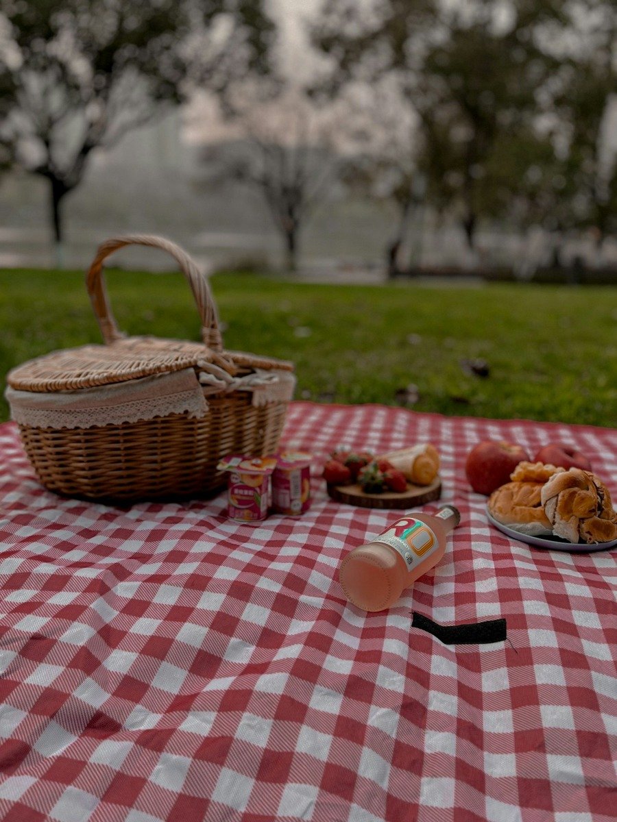 Ein Picknickkorb steht auf einer rot karierten Decke im Gras, daneben Brot und Obst